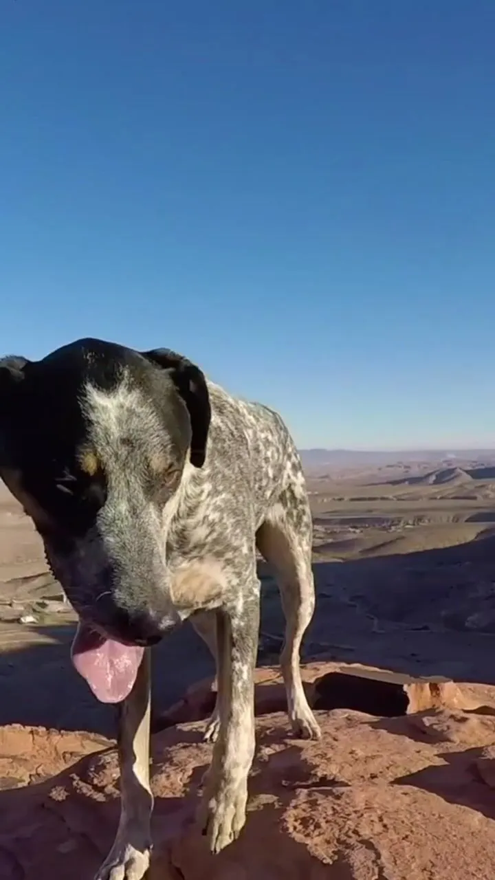 Hot girl Sparks Go Wild goes naked on top of a small mountain and sucks and fucks like a pro!