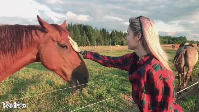 TAKE MY HORSE, PUBLIC AND FAST POV BJ on a Sunny Pasture